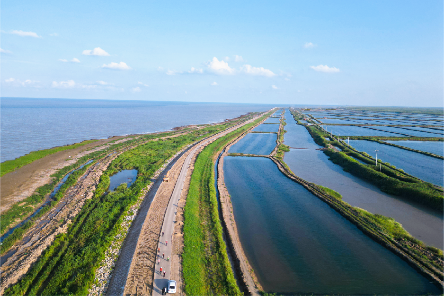 江苏盐城射阳县海洋生态保护修复项目获评2025年海洋生态保护修复典型案例 